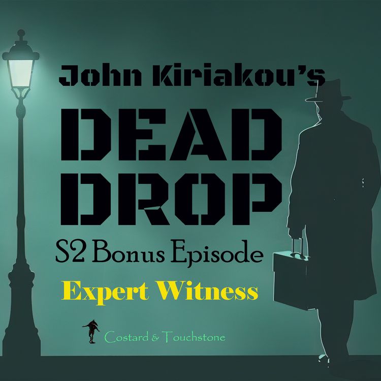 cover art for S2 Bonus Episode: Expert Witness