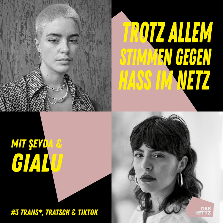 cover art for #3 Trans*, Tratsch und TikTok