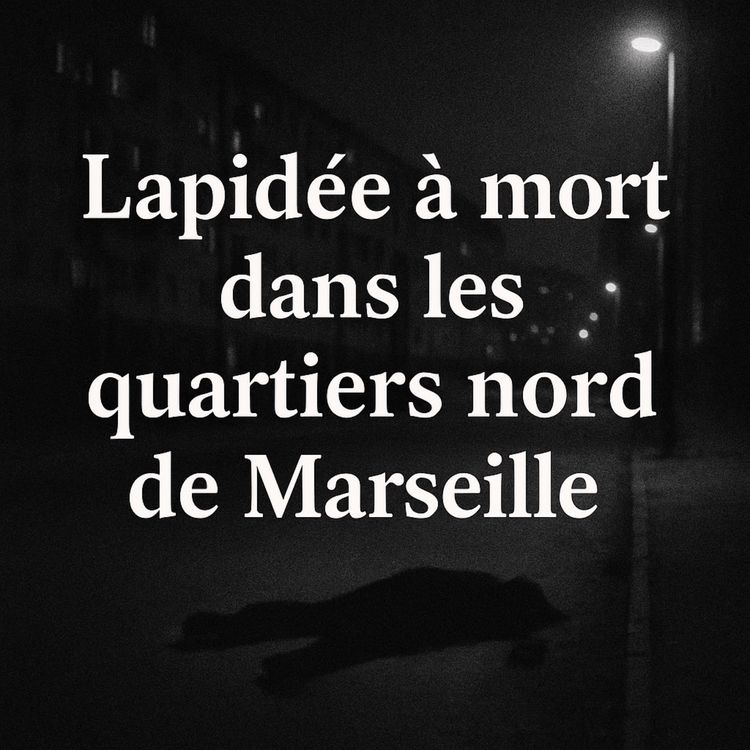 cover art for Lapidée à mort dans les quartiers nord de Marseille