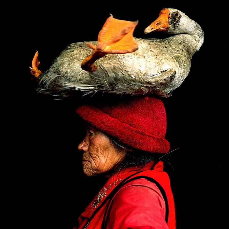 cover art for Cristina and the Whales