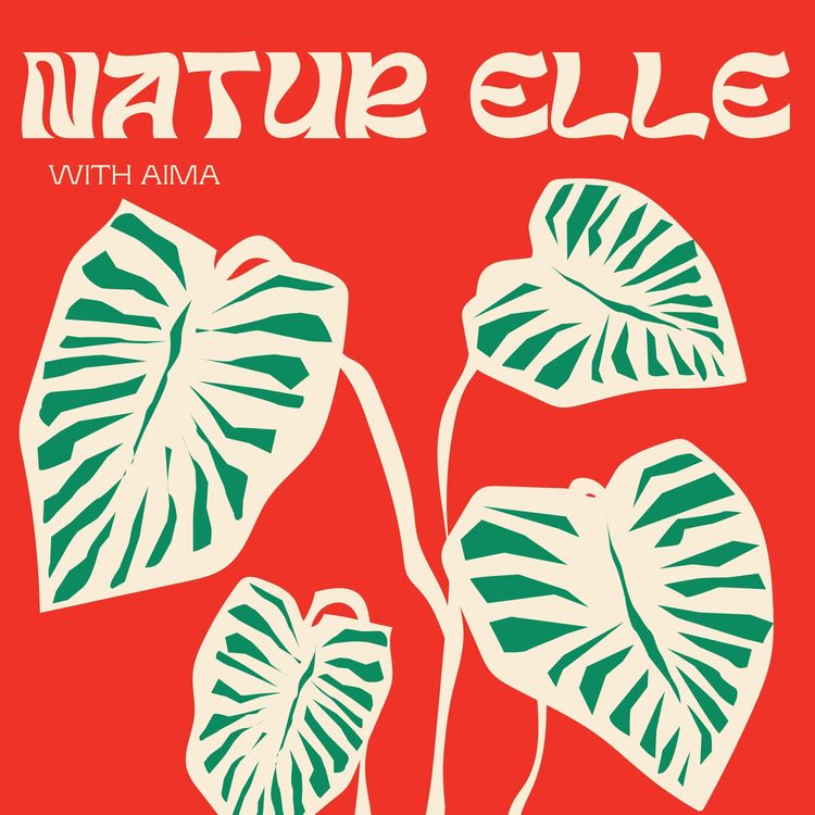 cover art for Les mots d'Aima