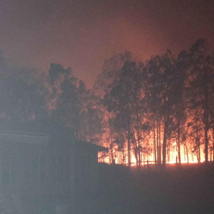 cover art for Stay or Go?