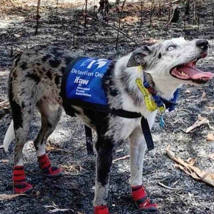 cover art for Lessons from the Past