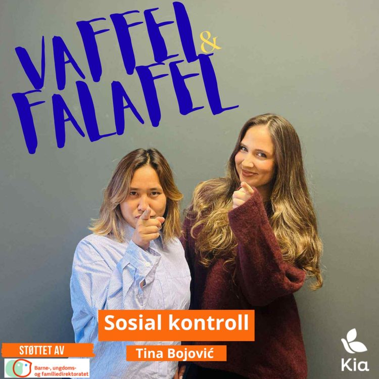 cover art for Sosial kontroll eller bare press?
