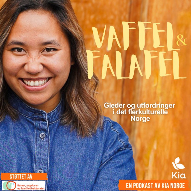 cover art for Hvor er du egentlig fra?