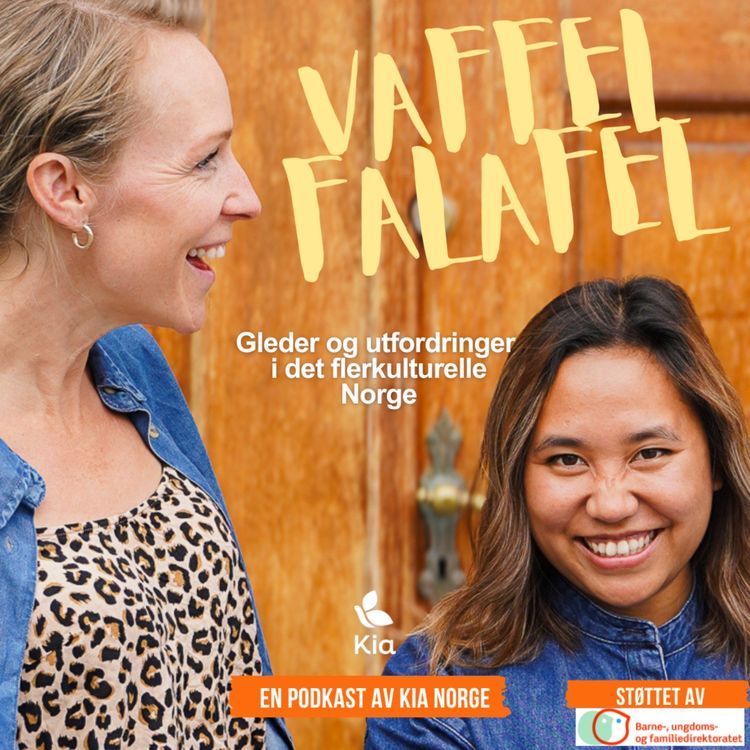 cover art for Vaffel og falafel, æsj?