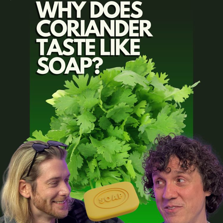 cover art for 🌶️ Why Does Coriander Taste Like Soap? | Cheap TVs, Phobias & Brass Monkeys – ANMAN #17