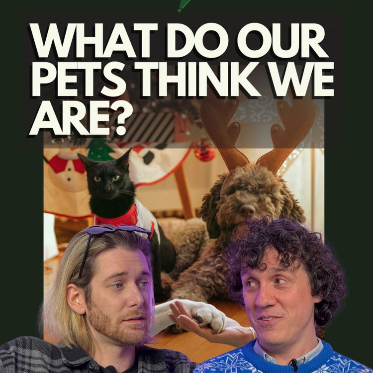 cover art for 🐶 What Do Our Pets Think We Are? | AI, Bees & Rainbows – ANMAN #18