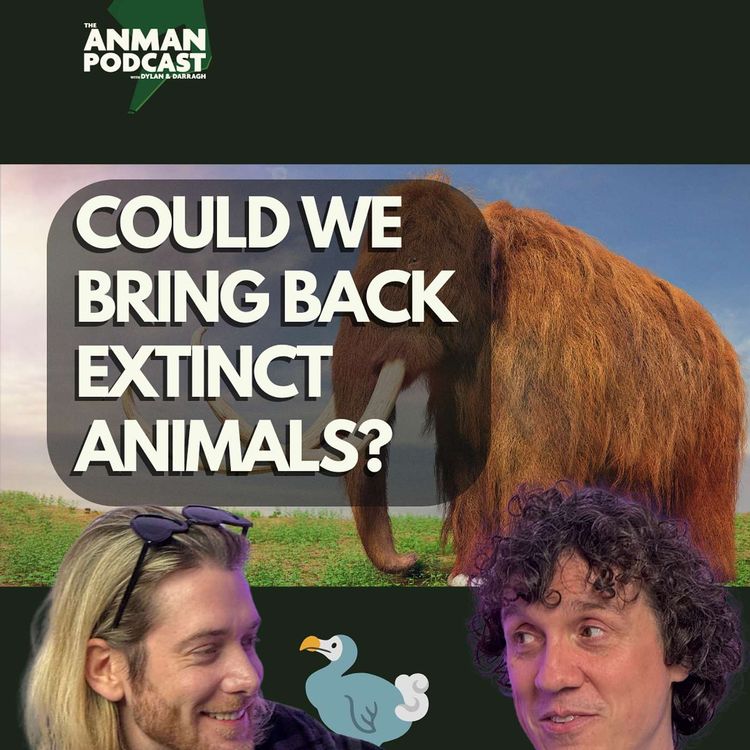 cover art for 🧬 Could We Bring Back Extinct Animals? | Lightsabers, Migration & Movie Sounds Explained – ANMAN #11