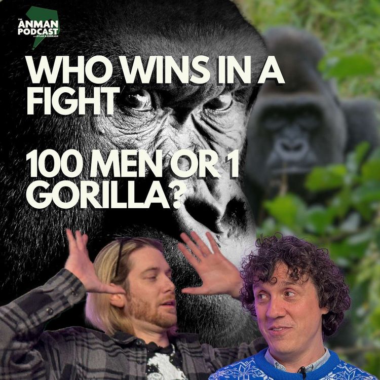 cover art for 🥊 What Happens If 100 Men Fight 1 Gorilla? | ANMAN Bonus Debate