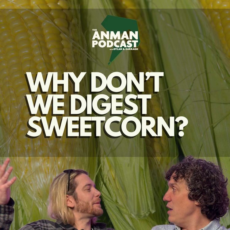 cover art for 🌽 Why Don’t We Digest Sweetcorn? | Moon Smells, Blood Types & Strange Sayings – ANMAN #12