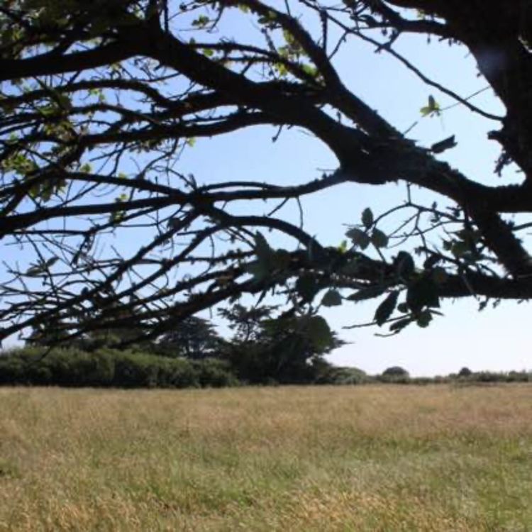 cover art for 57. Piratas, exploradores, cazadragones