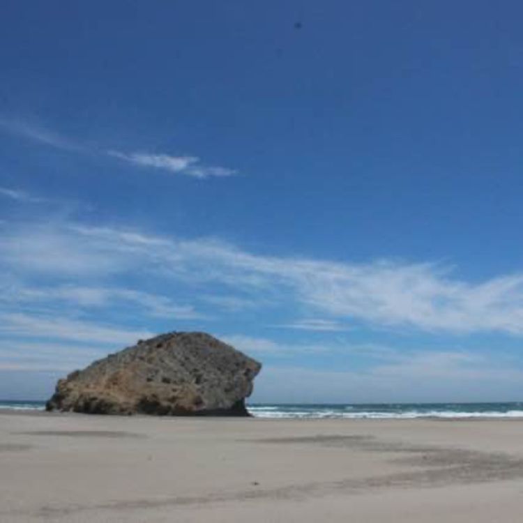 cover art for 62. Playa Negra