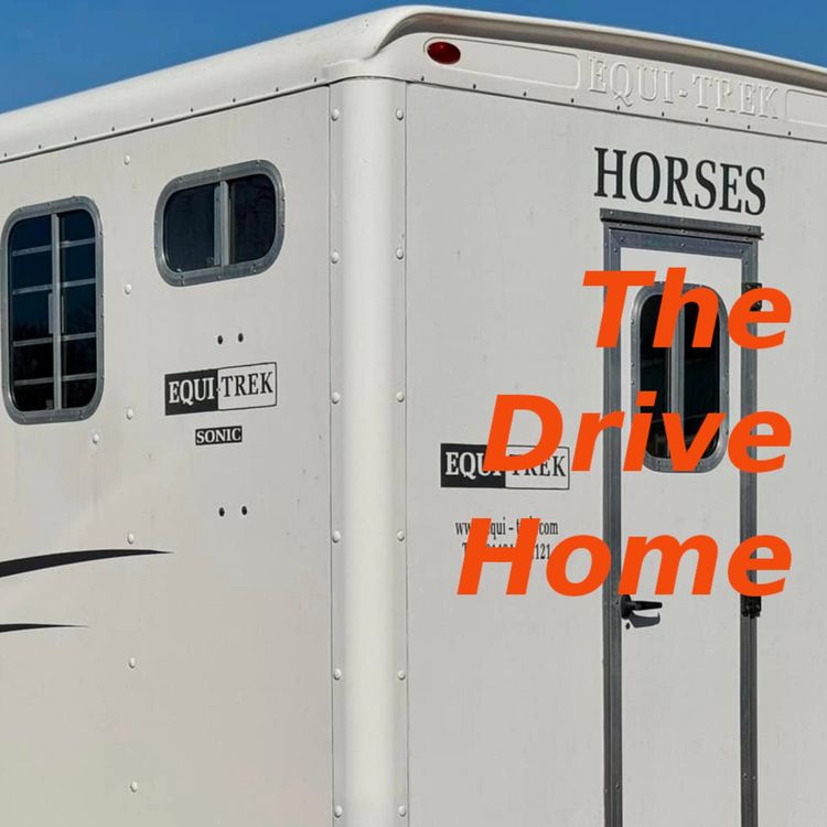 cover art for Side loading horses
