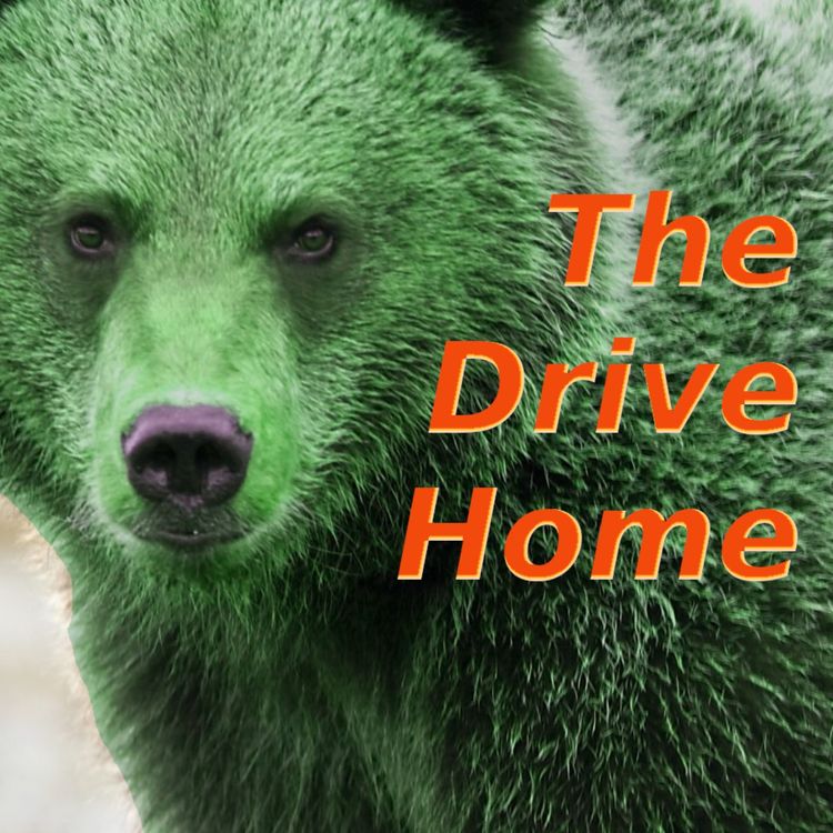 cover art for The fish hole