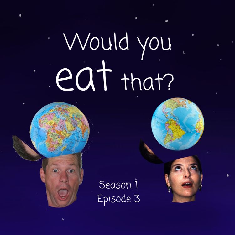 cover art for Would you eat that?
