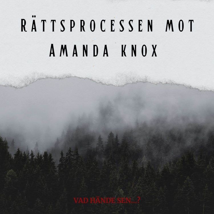 cover art for 5. Rättsprocessen mot Amanda Knox