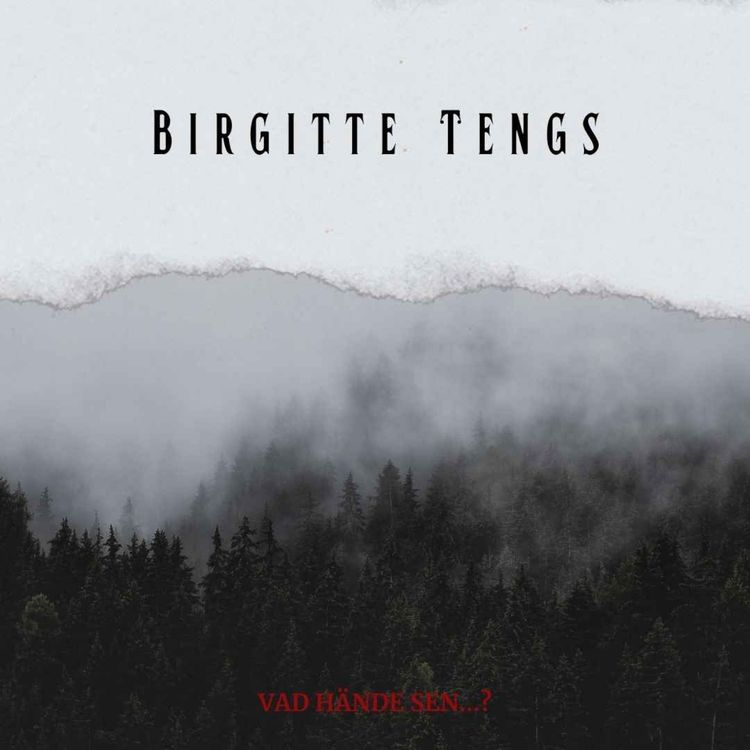 cover art for 6. Birgitte Tengs
