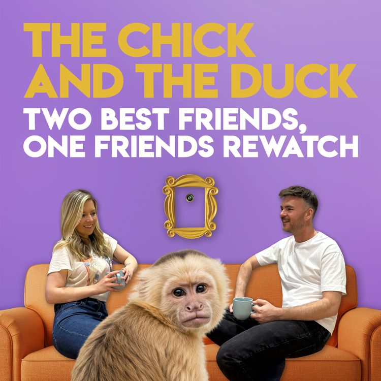 cover art for The One With The Monkey