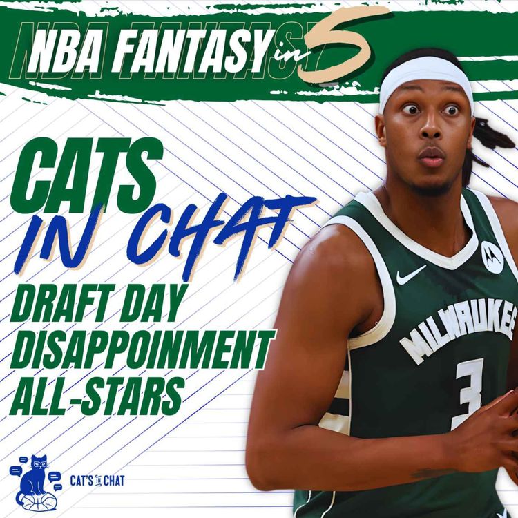 cover art for NBA FANTASY BASKETBALL | Cats in Chat | Draft Day Disappointments: Cut Bait or Hold On?
