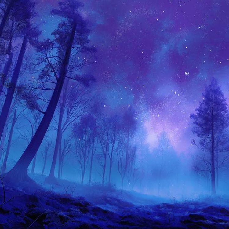 cover art for Light beyond Mist