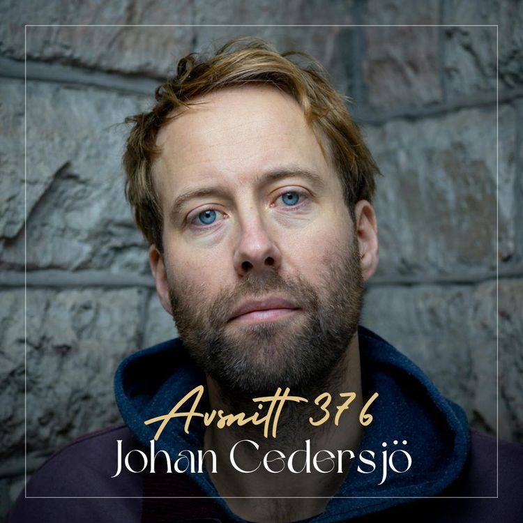 cover art for Det sista pillret: Så slutar du med antidepp – Johan Cedersjö