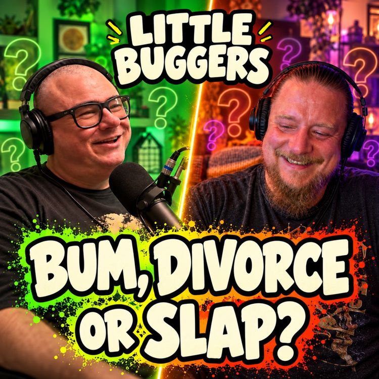 cover art for Bum, Divorce or Slap? | Little Buggers