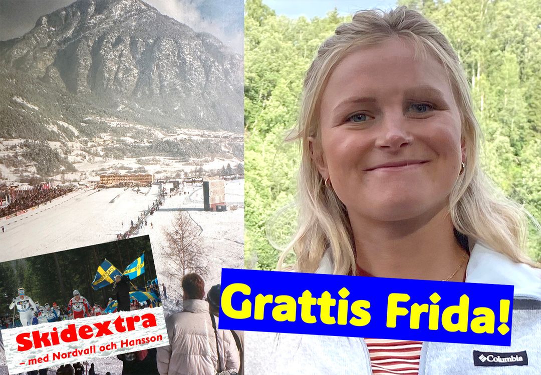 cover art for Hurra för Frida Karlsson