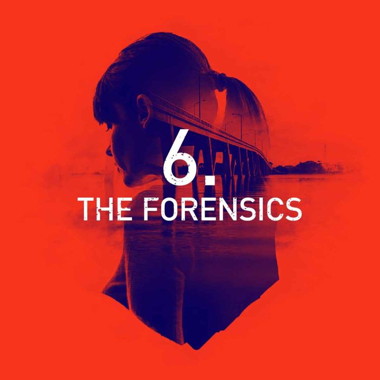 cover art for Episode 6: The Forensics