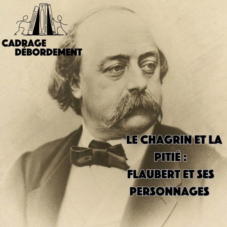 cover art for Le chagrin et la pitié : Flaubert et ses personnages