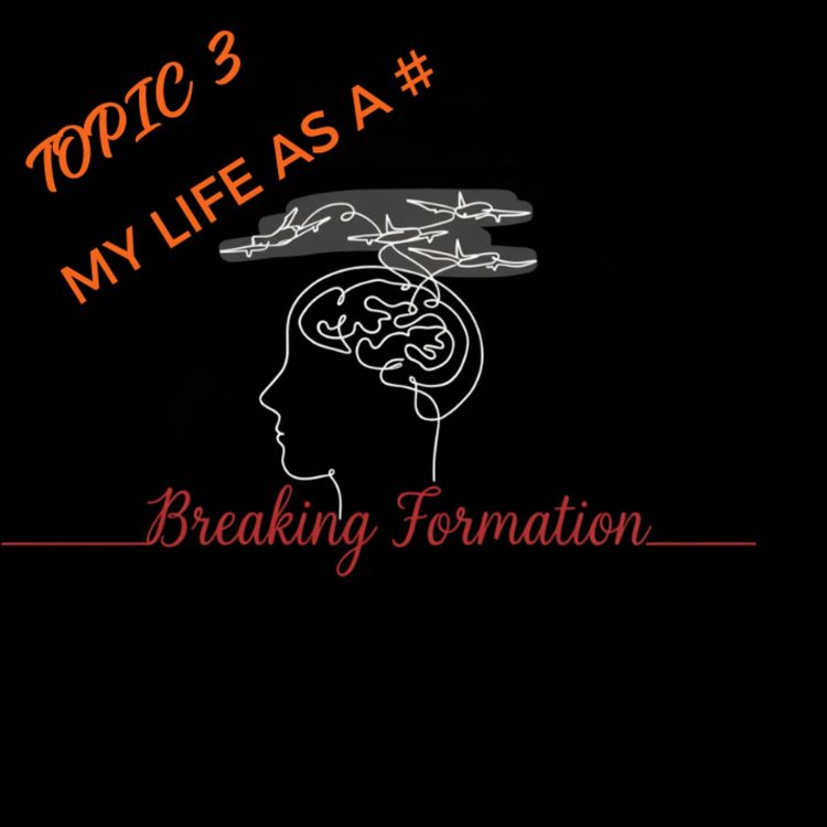 cover art for Topic 3: My Life as A Hashtag