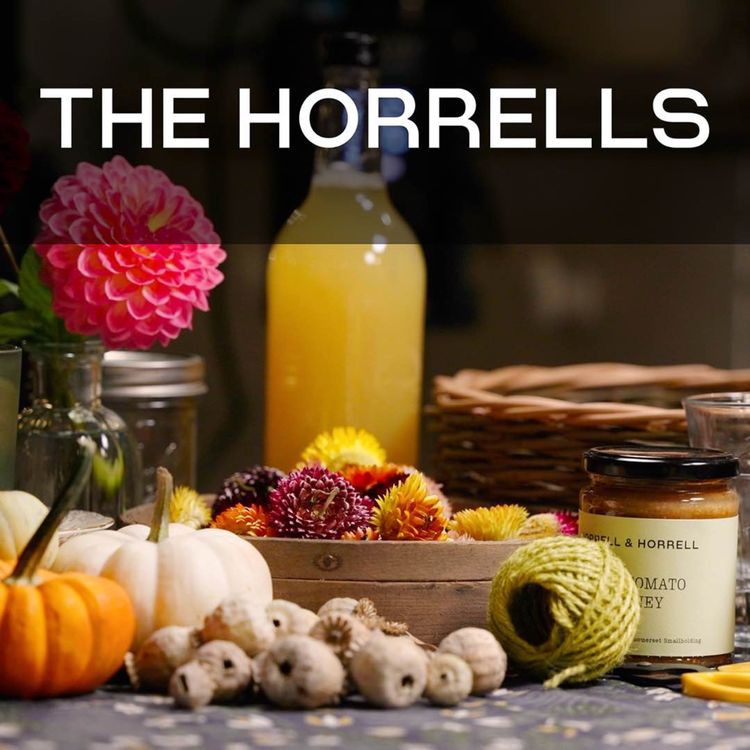 cover art for The Horrells
