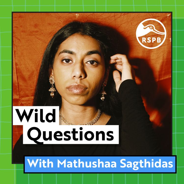 cover art for Do Worms Have Eyes? (Mathushaa Sagthidas)