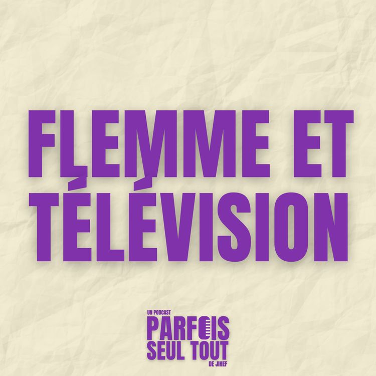 cover art for Flemme et télévision 