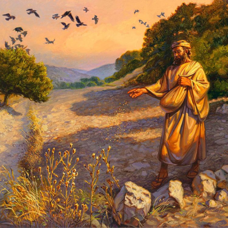 cover art for The Sower, Seed and Soils Part 2
