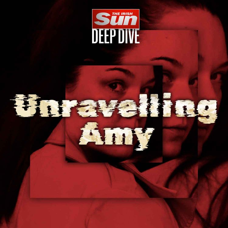 cover art for Out now: Unravelling Amy