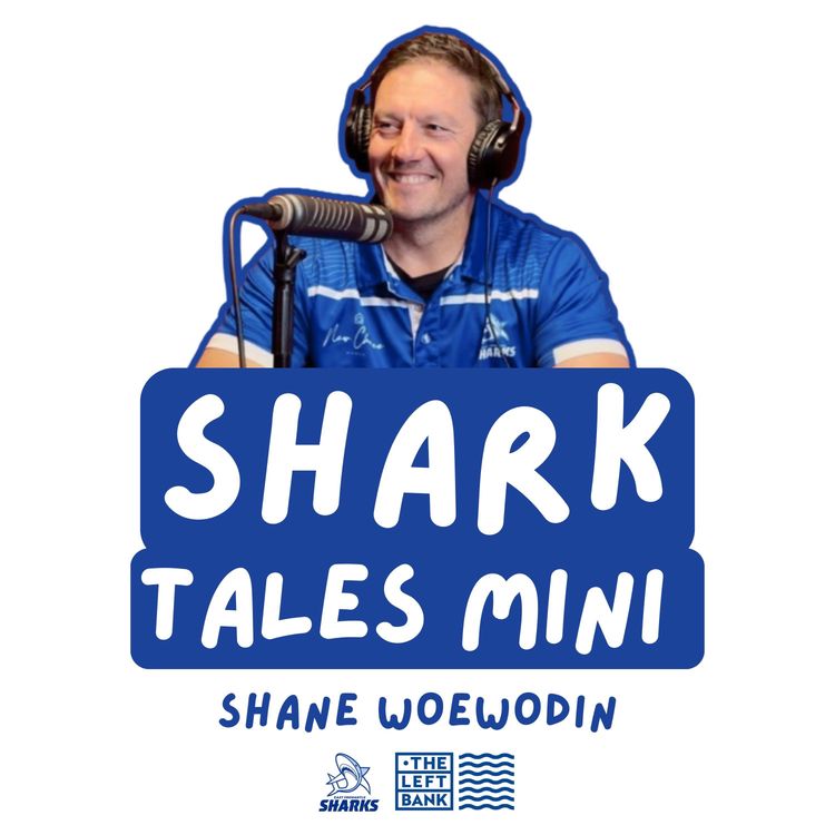 cover art for MINI | Shane Woewodin: Being one of FOUR Sharks Brownlow Medallists