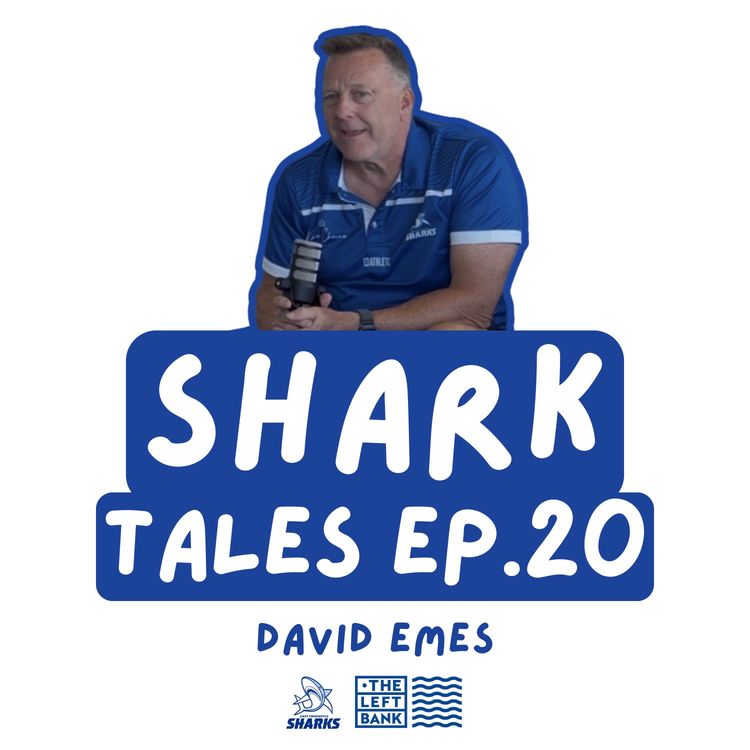 cover art for David Emes sets the record straight: WAFLW coach | EPISODE #20