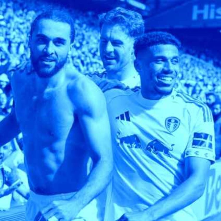 cover art for ⚽Big Game Review Leeds United 1 Brighton 0 ⚽ Impeccable defensive display ⚽