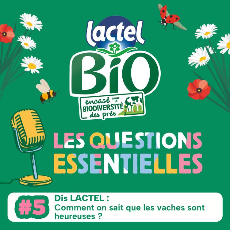 cover art for Dis LACTEL : Comment on sait que les vaches sont heureuses ?