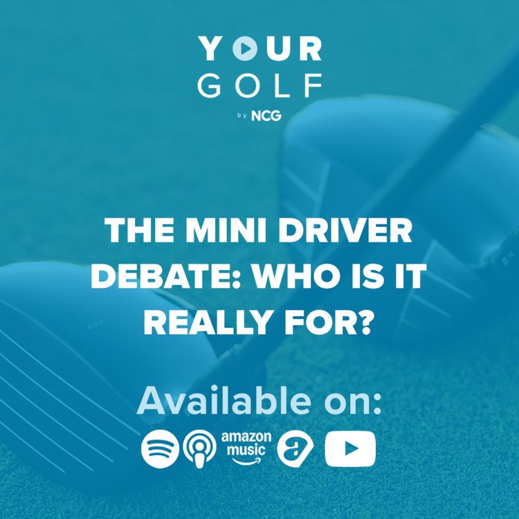 cover art for The Mini Driver Debate: Who Is It Really For?