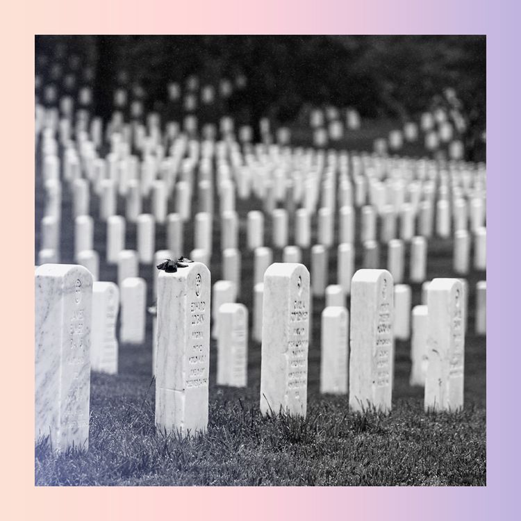 cover art for Honouring the dead