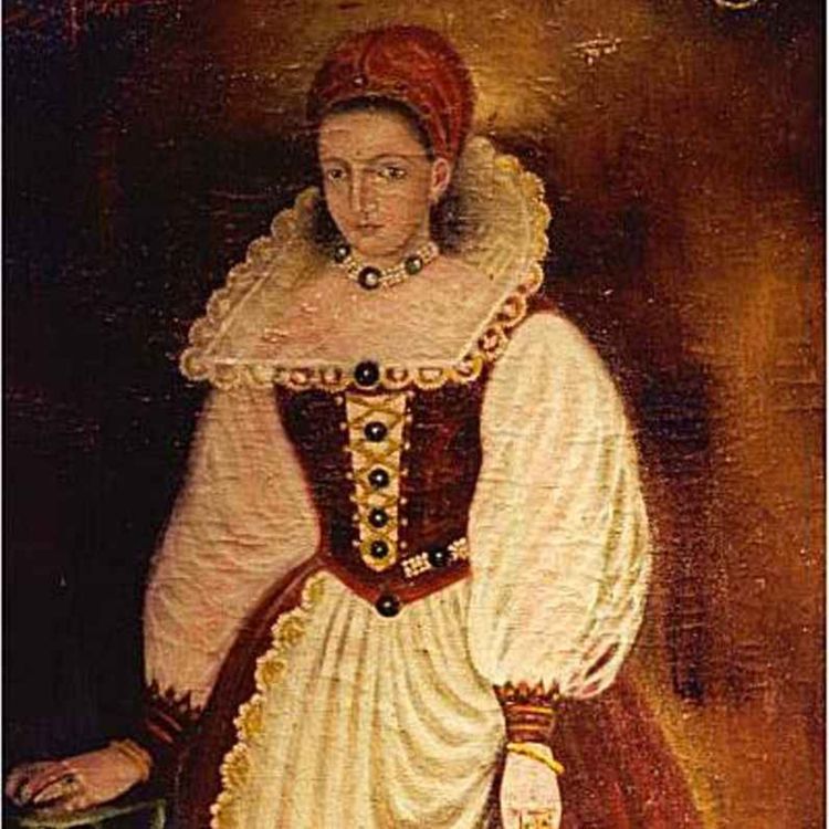 cover art for the blood countess