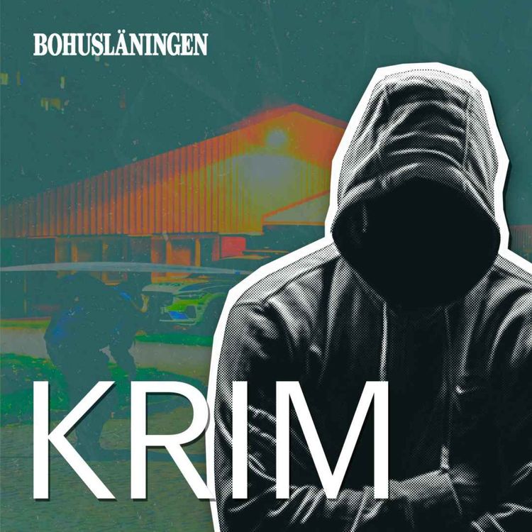 cover art for Dalabergsmordet: Mordnatten (1/3)