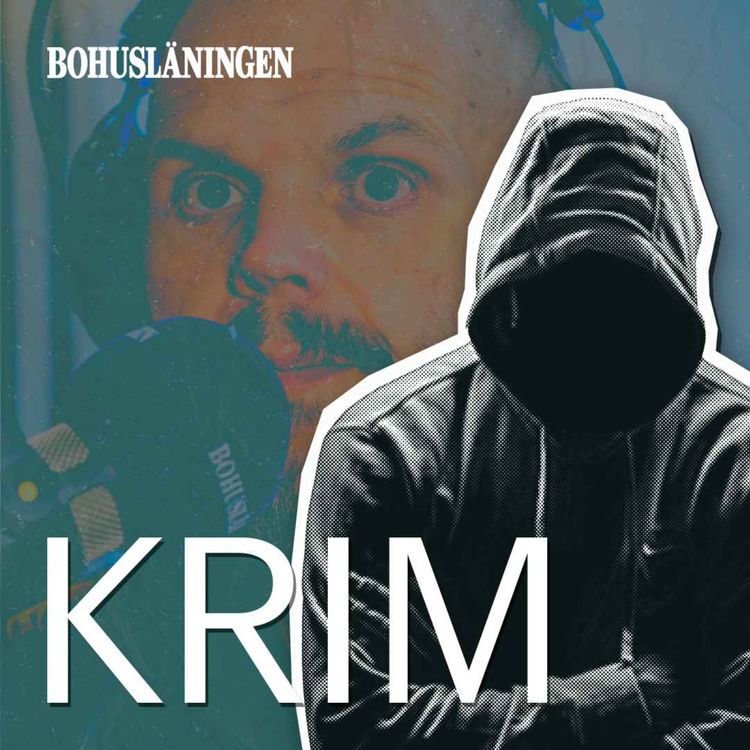 cover art for Dalabergsmordet: Domen (3/3)