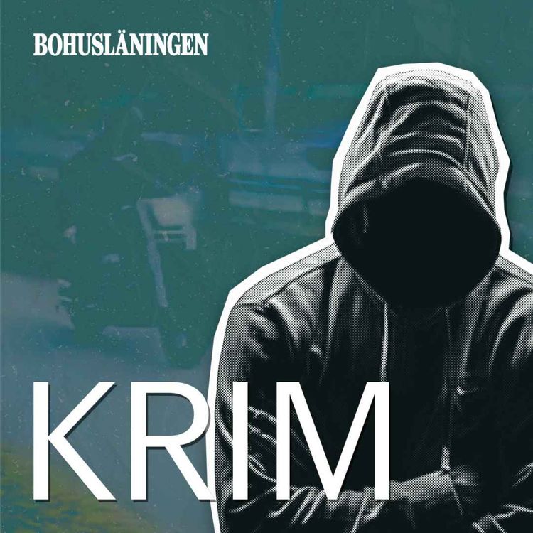 cover art for Mc-jakten i Ljungskile