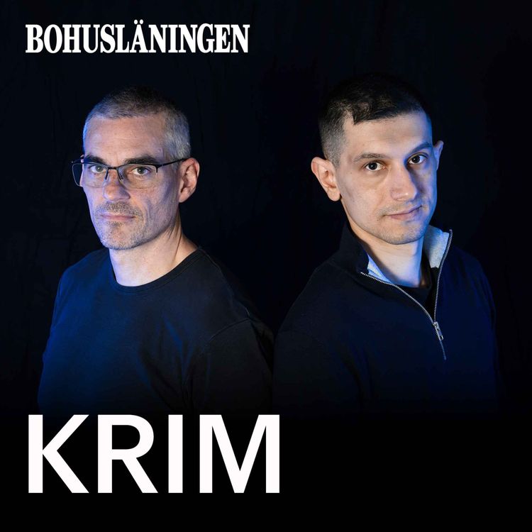 cover art for Trailer: Dalabergsmordet