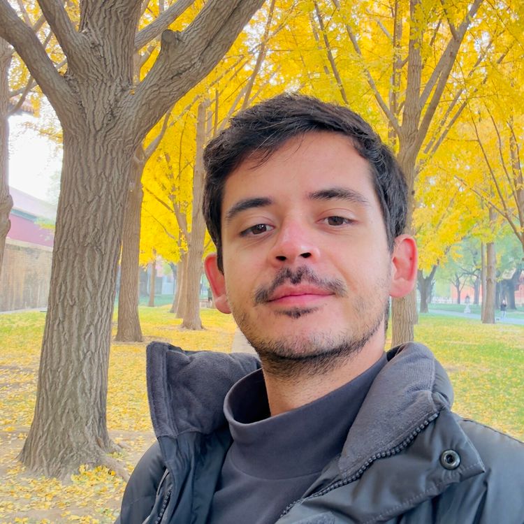 cover art for Je ne tomberais jamais amoureux ?