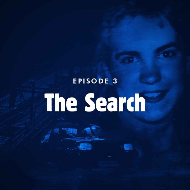 cover art for Episode 3: The search