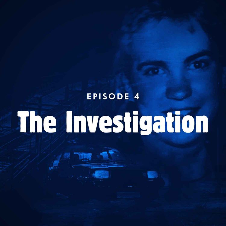cover art for Episode 4: The investigation